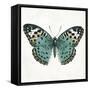 Neutral Butterfly 2-Jace Grey-Framed Stretched Canvas
