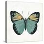 Neutral Butterfly 3-Jace Grey-Stretched Canvas