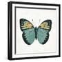 Neutral Butterfly 3-Jace Grey-Framed Art Print