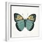 Neutral Butterfly 3-Jace Grey-Framed Art Print