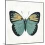 Neutral Butterfly 3-Jace Grey-Mounted Art Print