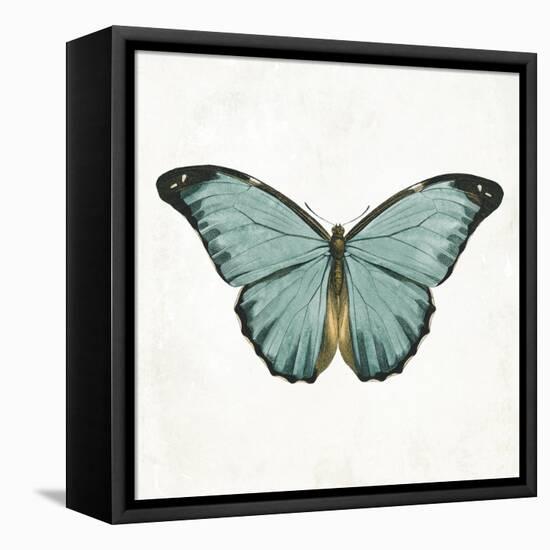 Neutral Butterfly 4-Jace Grey-Framed Stretched Canvas