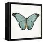 Neutral Butterfly 4-Jace Grey-Framed Stretched Canvas