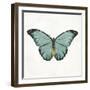 Neutral Butterfly 4-Jace Grey-Framed Art Print