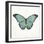 Neutral Butterfly 4-Jace Grey-Framed Art Print