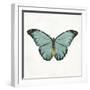 Neutral Butterfly 4-Jace Grey-Framed Art Print