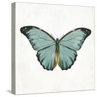 Neutral Butterfly 4-Jace Grey-Stretched Canvas