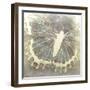 Neutral Butterfly I-Alonzo Saunders-Framed Art Print