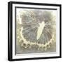 Neutral Butterfly I-Alonzo Saunders-Framed Art Print