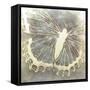 Neutral Butterfly I-Alonzo Saunders-Framed Stretched Canvas