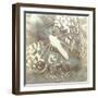 Neutral Butterfly II-Alonzo Saunders-Framed Art Print