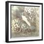 Neutral Butterfly II-Alonzo Saunders-Framed Art Print