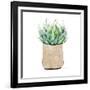 Neutral Cactus II-Janet Tava-Framed Art Print
