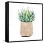 Neutral Cactus II-Janet Tava-Framed Stretched Canvas