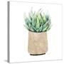 Neutral Cactus II-Janet Tava-Stretched Canvas