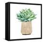 Neutral Cactus III-Janet Tava-Framed Stretched Canvas