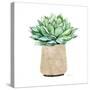 Neutral Cactus III-Janet Tava-Stretched Canvas