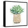 Neutral Cactus III-Janet Tava-Framed Stretched Canvas