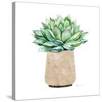 Neutral Cactus III-Janet Tava-Stretched Canvas