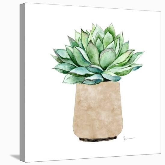 Neutral Cactus III-Janet Tava-Stretched Canvas