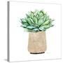 Neutral Cactus III-Janet Tava-Stretched Canvas