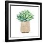 Neutral Cactus III-Janet Tava-Framed Art Print