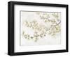 Neutral Cherry Blossom Composition I-Tim OToole-Framed Art Print