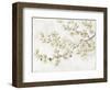 Neutral Cherry Blossom Composition I-Tim OToole-Framed Art Print