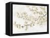 Neutral Cherry Blossom Composition I-Tim OToole-Framed Stretched Canvas