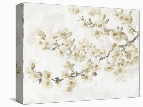 Neutral Cherry Blossom Composition I-Tim OToole-Stretched Canvas