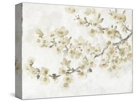 Neutral Cherry Blossom Composition I-Tim OToole-Stretched Canvas