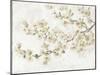 Neutral Cherry Blossom Composition I-Tim OToole-Mounted Art Print