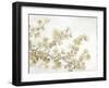 Neutral Cherry Blossom Composition II-Tim OToole-Framed Art Print