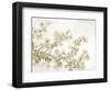 Neutral Cherry Blossom Composition II-Tim OToole-Framed Art Print