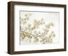 Neutral Cherry Blossom Composition II-Tim OToole-Framed Art Print