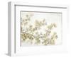 Neutral Cherry Blossom Composition II-Tim OToole-Framed Art Print