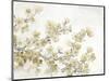 Neutral Cherry Blossom Composition II-Tim OToole-Mounted Art Print