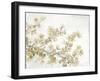 Neutral Cherry Blossom Composition II-Tim OToole-Framed Art Print