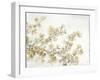 Neutral Cherry Blossom Composition II-Tim OToole-Framed Art Print