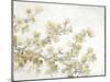 Neutral Cherry Blossom Composition II-Tim OToole-Mounted Art Print