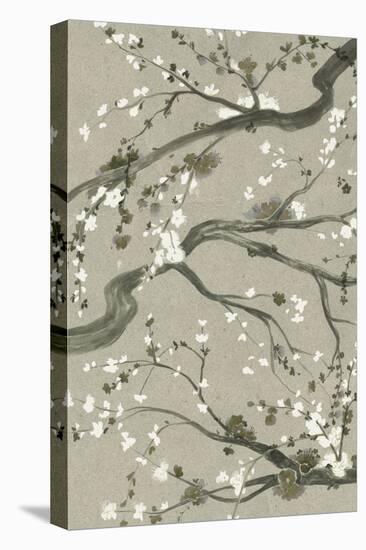 Neutral Cherry Blossoms II-Grace Popp-Stretched Canvas