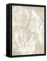 Neutral Coral II-Carol Robinson-Framed Stretched Canvas