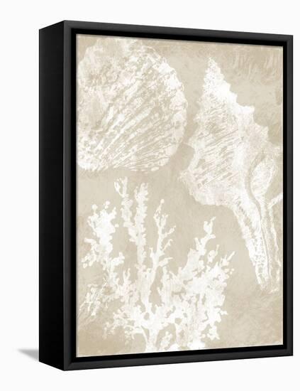 Neutral Coral II-Carol Robinson-Framed Stretched Canvas