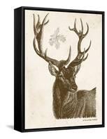 Neutral Deer I-Gwendolyn Babbitt-Framed Stretched Canvas