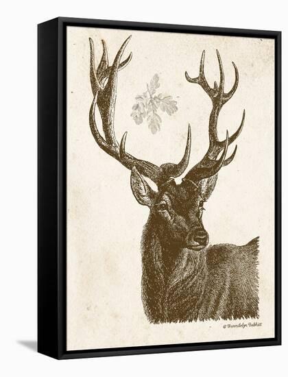 Neutral Deer I-Gwendolyn Babbitt-Framed Stretched Canvas