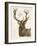 Neutral Deer I-Gwendolyn Babbitt-Framed Art Print