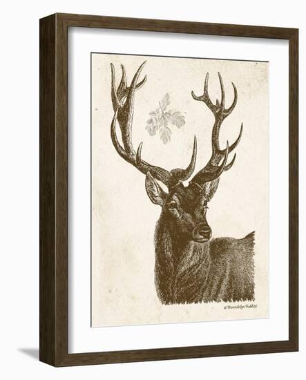 Neutral Deer I-Gwendolyn Babbitt-Framed Art Print