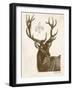 Neutral Deer I-Gwendolyn Babbitt-Framed Art Print