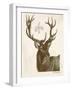 Neutral Deer I-Gwendolyn Babbitt-Framed Art Print