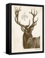 Neutral Deer I-Gwendolyn Babbitt-Framed Stretched Canvas